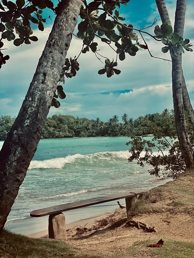 Aligio Luxury Apart-Hotel Las Terrenas Repubblica Dominicana