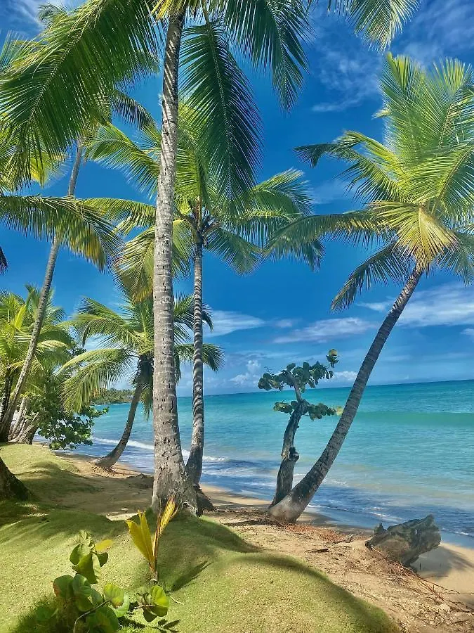 Aligio Luxury Apart-Hotel Las Terrenas Appartamento